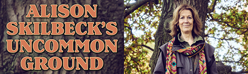 Uncommon Ground title